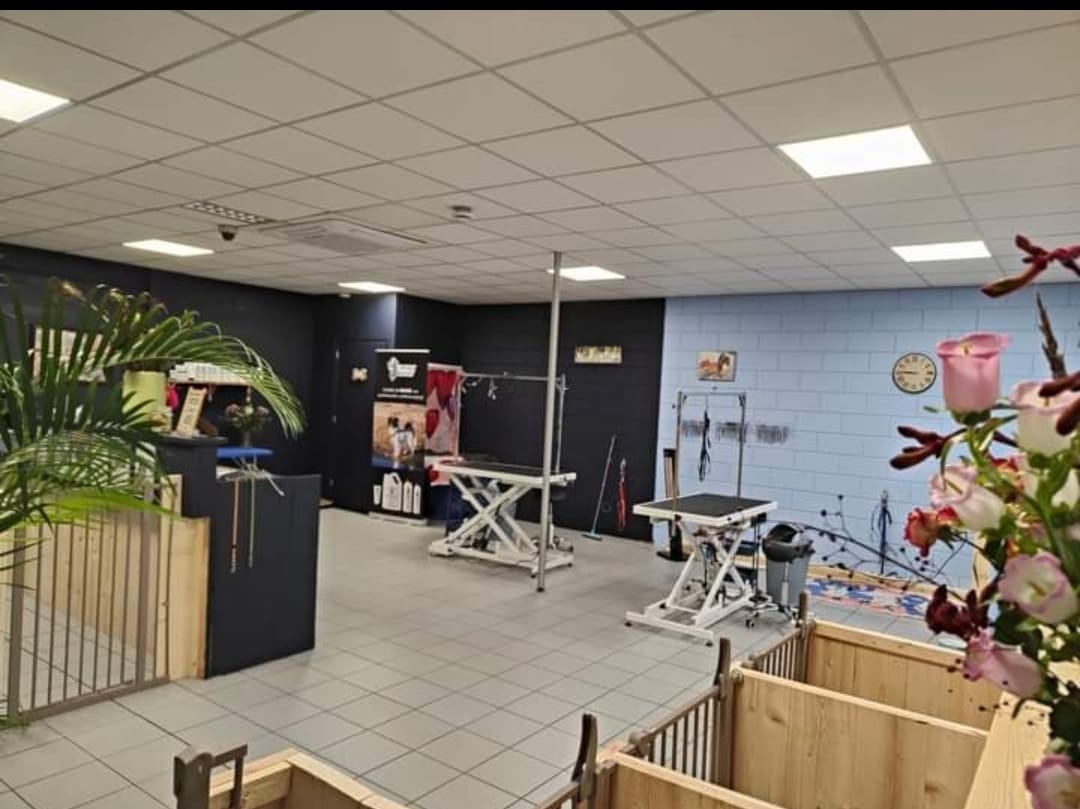 Trimsalon Castricum
